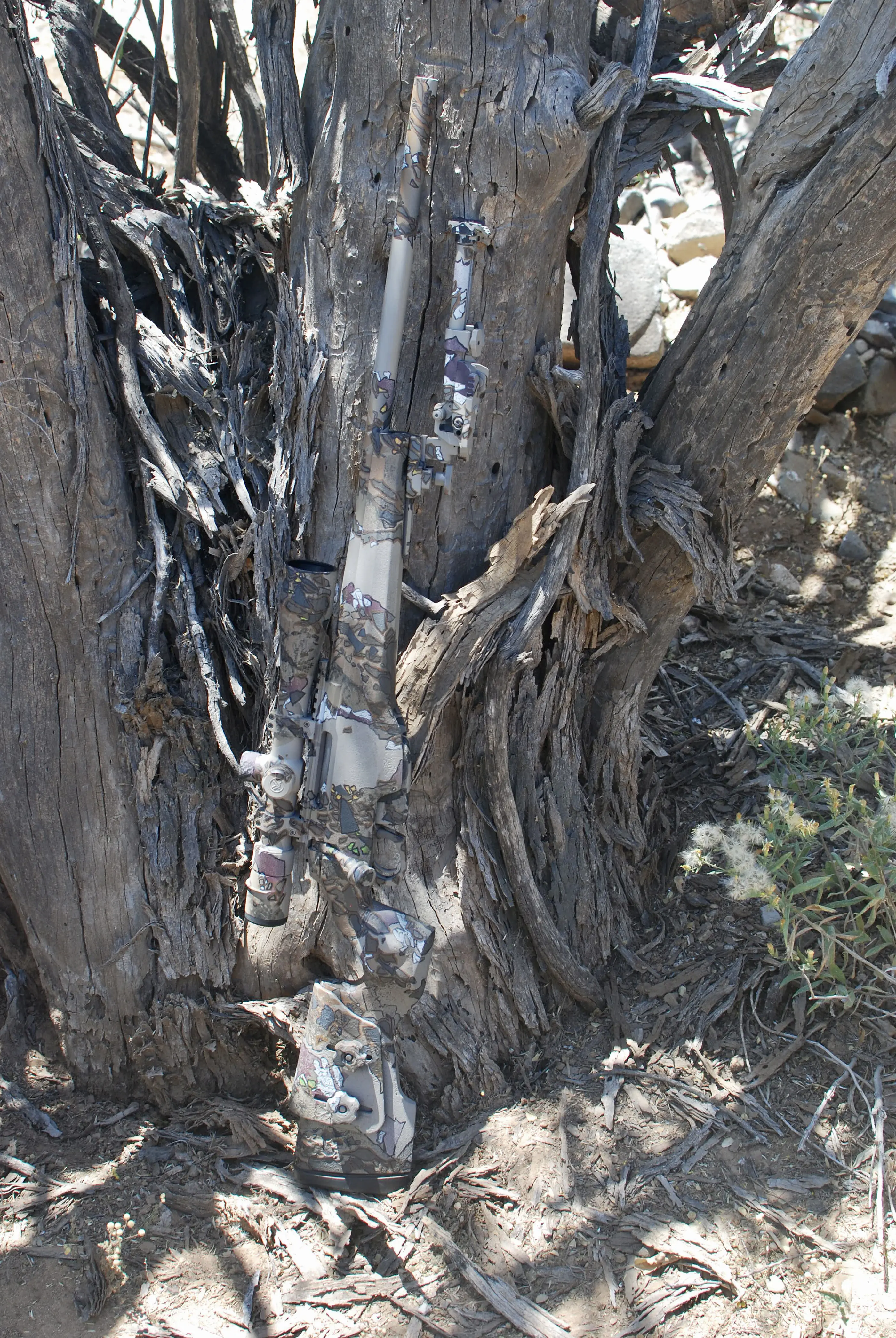 Carnimore custom build showcasing expert craftsmanship and professional finishing services in Arizona